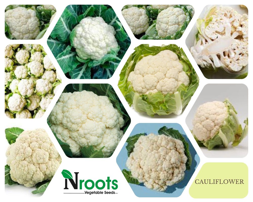 CAULIFLOWER