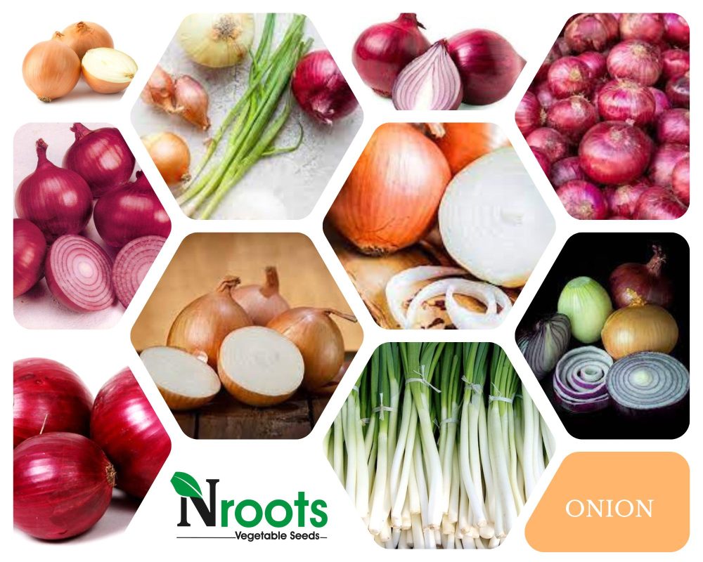 ONION