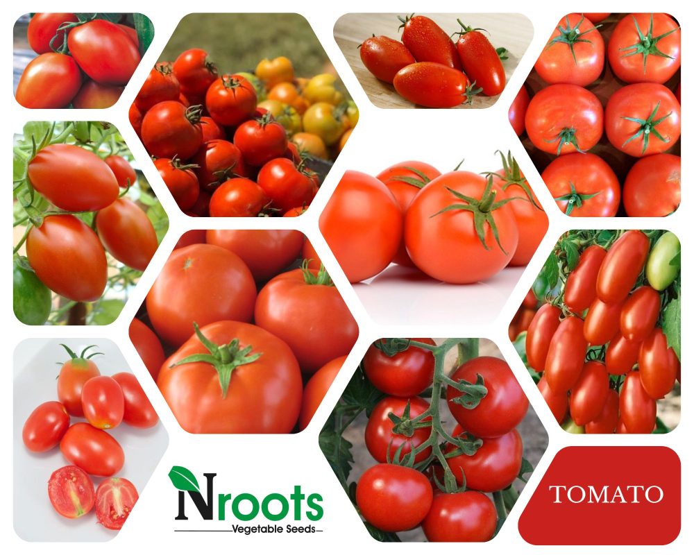 TOMATO